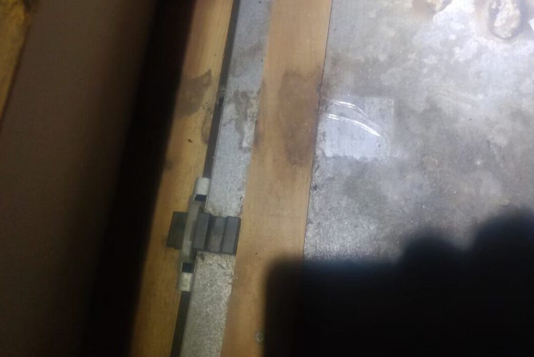 福岡県糸島市　アライグマによる被害　駆除実績