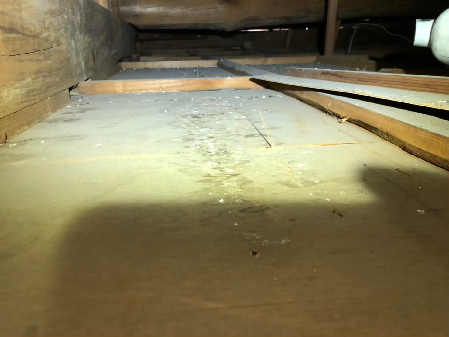 福岡県 久留米市　ネズミによる被害　N様邸　駆除実績