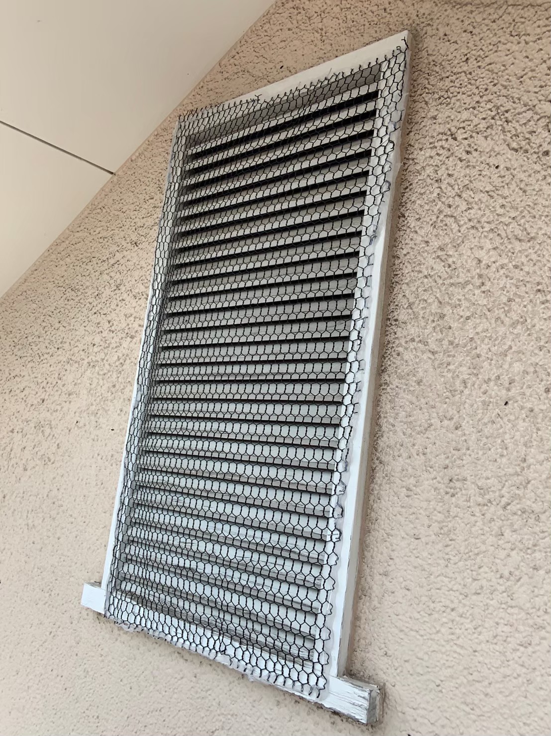 コウモリによる被害　医療施設K　N様　駆除実績