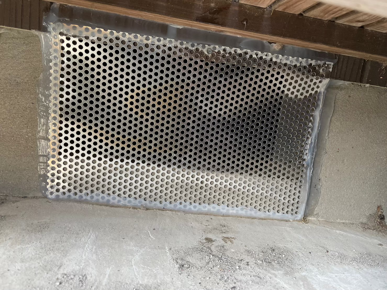 福岡県福岡市　アライグマによる被害　M様邸　駆除実績