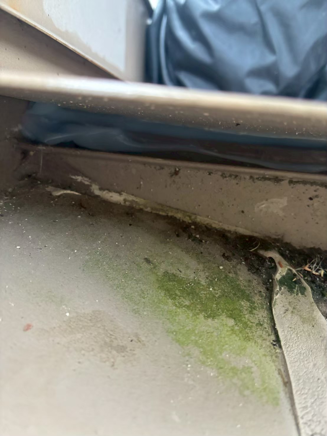 佐賀県多久市　ネズミによる被害　T様邸　駆除実績