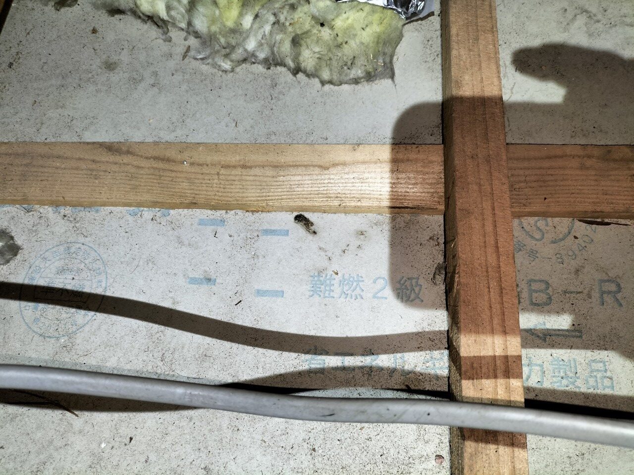 佐賀県鹿島市　アライグマによる被害　I様邸　駆除実績