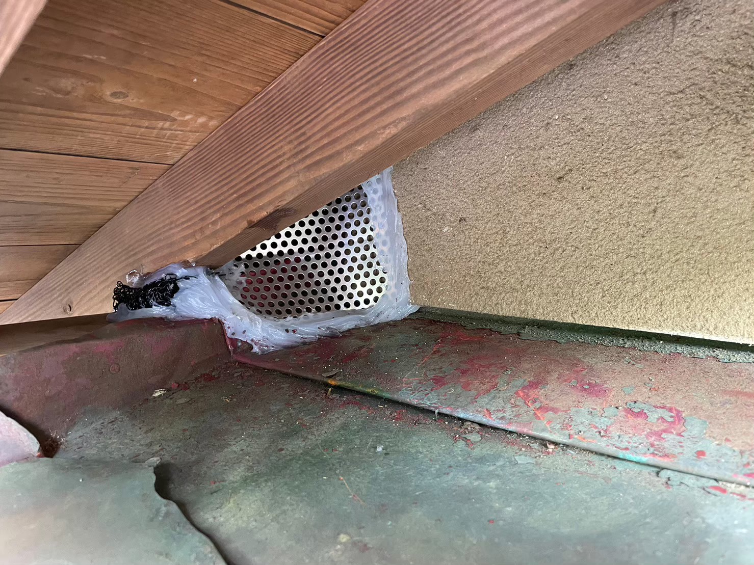 福岡県大牟田市　イタチによる被害　G様邸　駆除実績