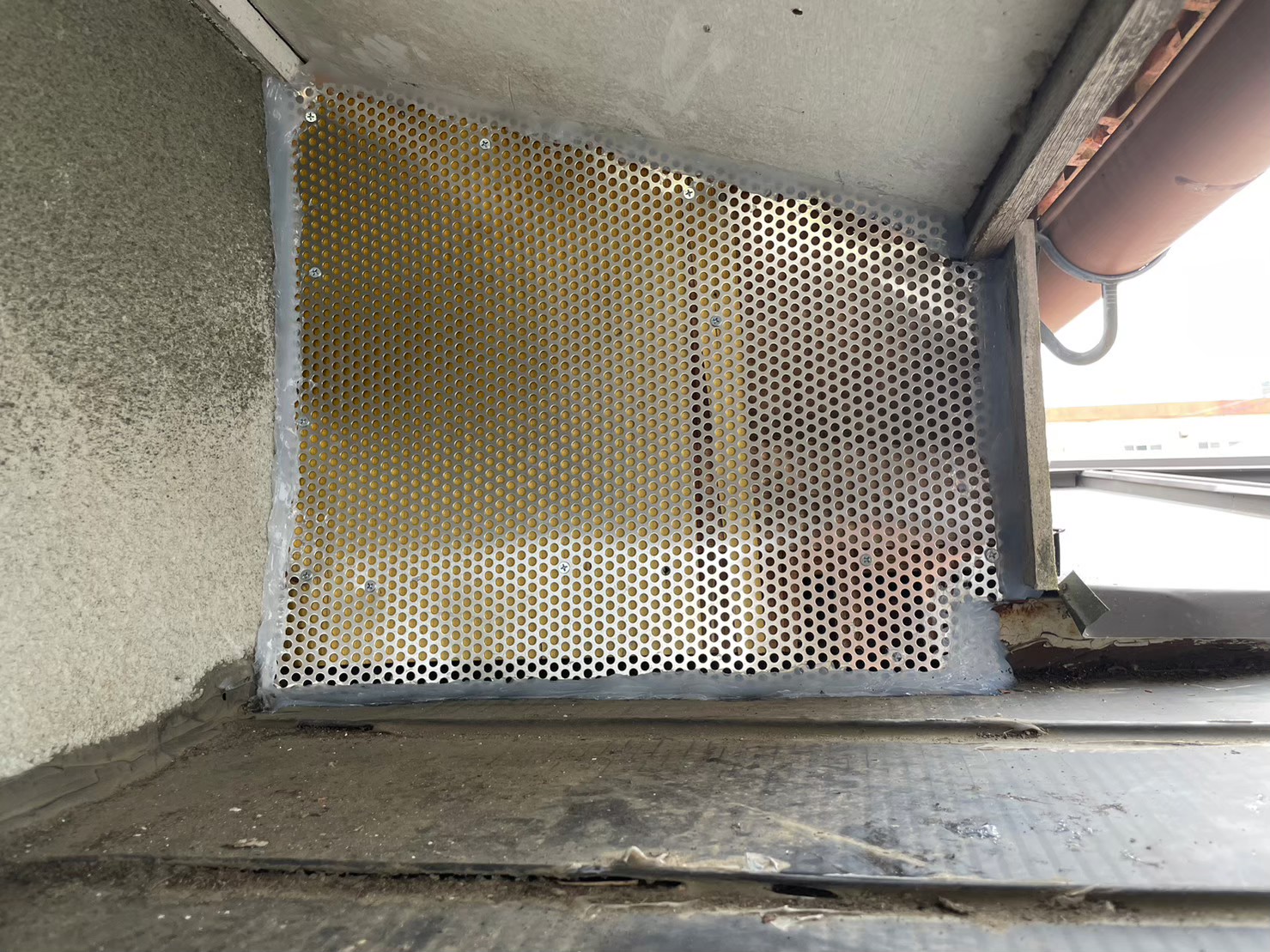 佐賀県佐賀市　アライグマによる被害　N様邸　駆除実績