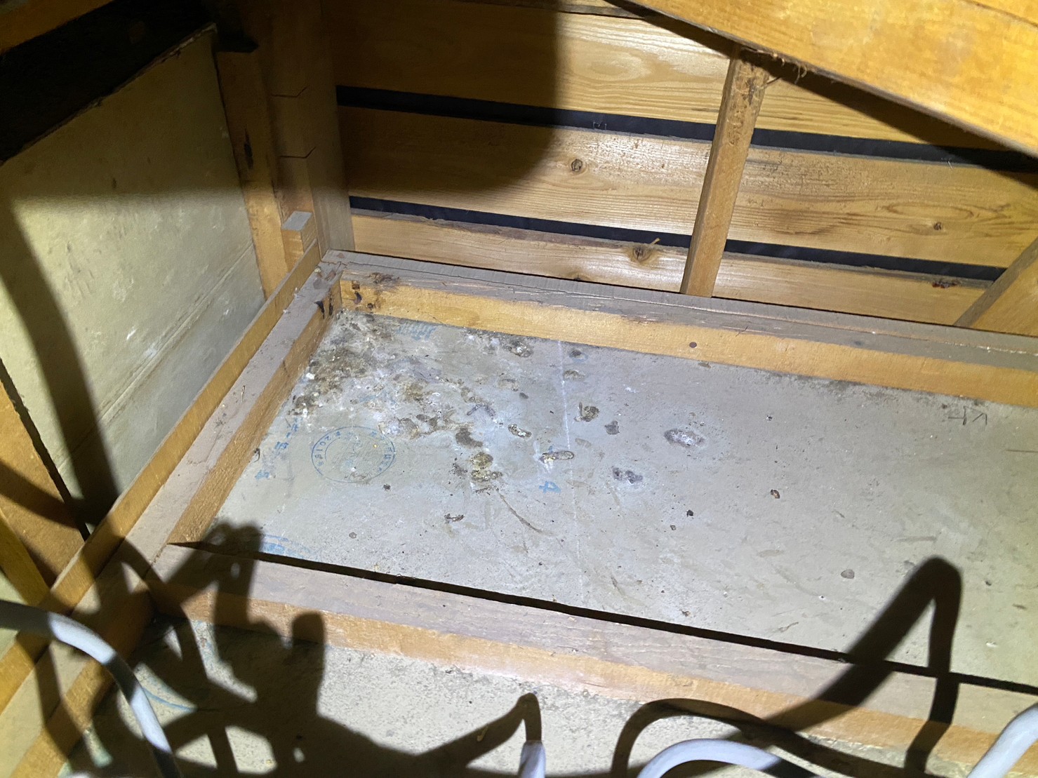 福岡県福岡市　イタチによる被害　K様邸　駆除実績