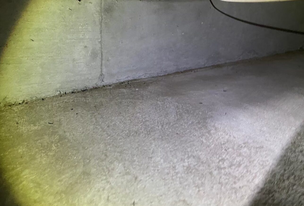 福岡県久留米市　ネズミによる被害　H様邸　駆除実績