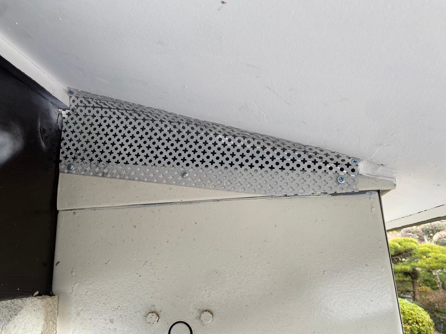 佐賀県三養基郡基山町　ネズミによる被害　N様邸　駆除実績