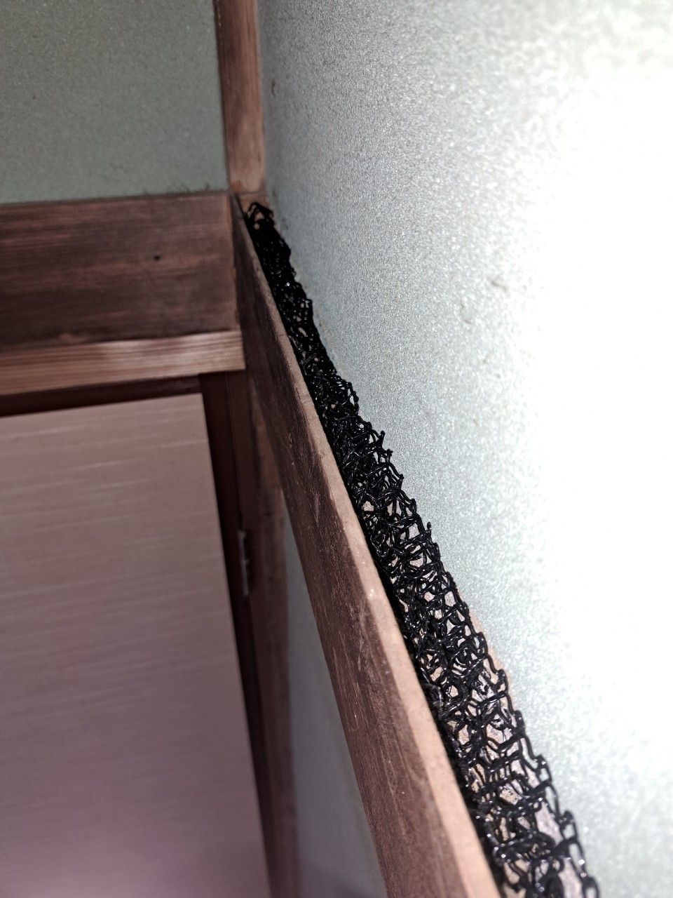 佐賀県唐津市　ネズミによる被害　H様邸　駆除実績