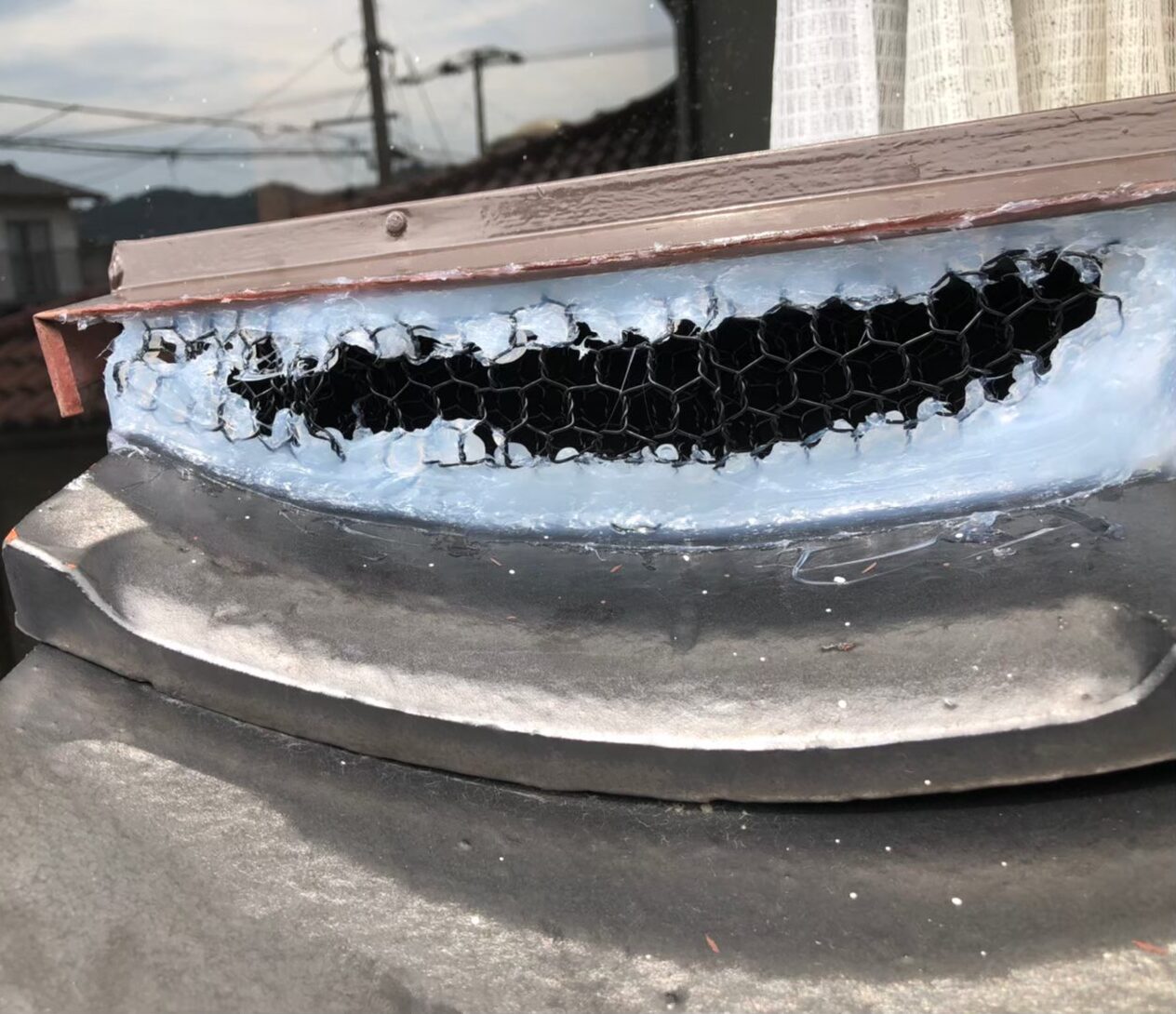 コウモリによる被害　S様邸　駆除実績