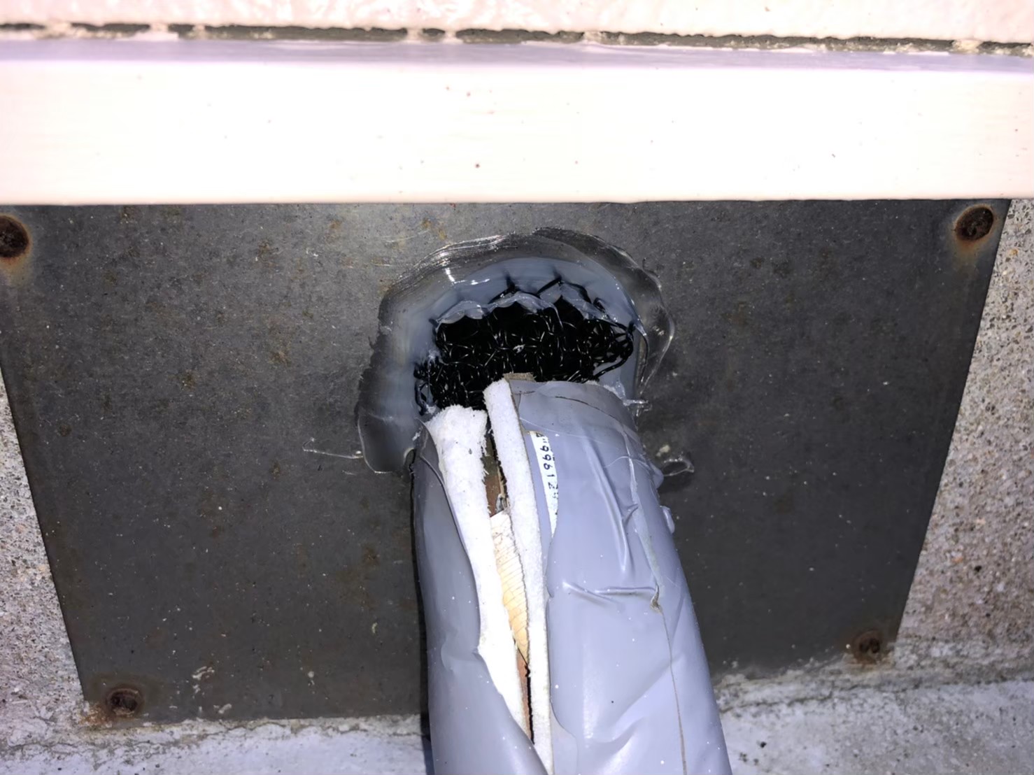 福岡県春日市　ネズミによる被害　K様邸　駆除実績