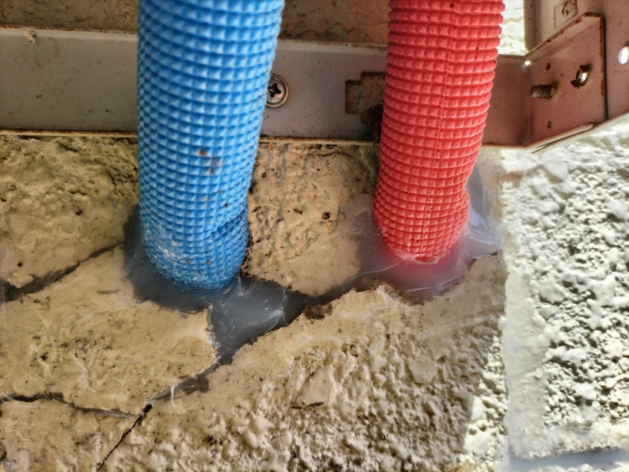 福岡県糟屋郡篠栗町　イタチによる被害　T様邸　駆除実績