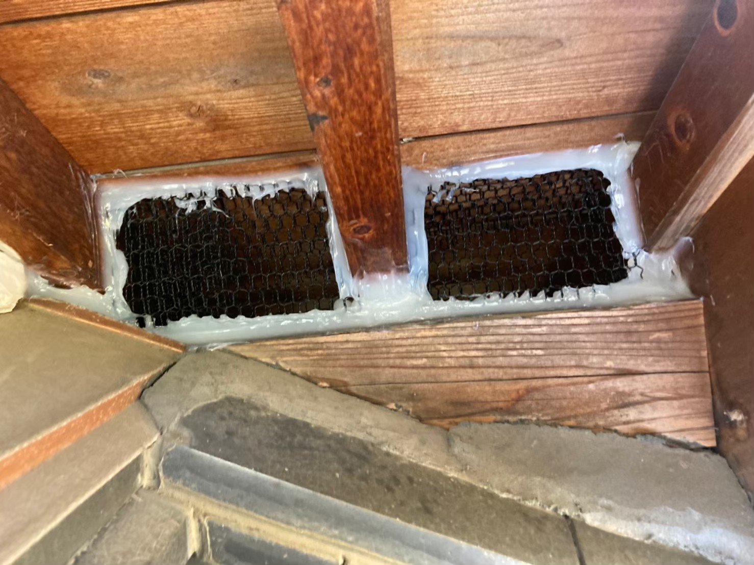 佐賀県小城市　イタチによる被害　N様邸　駆除実績