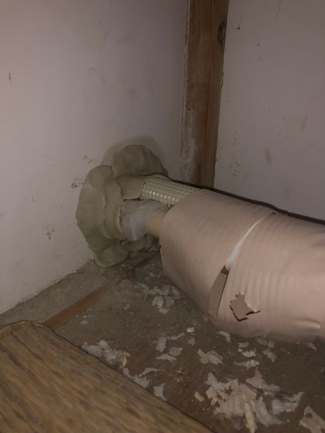 福岡県糸島市　ネズミによる被害　M様邸　駆除実績