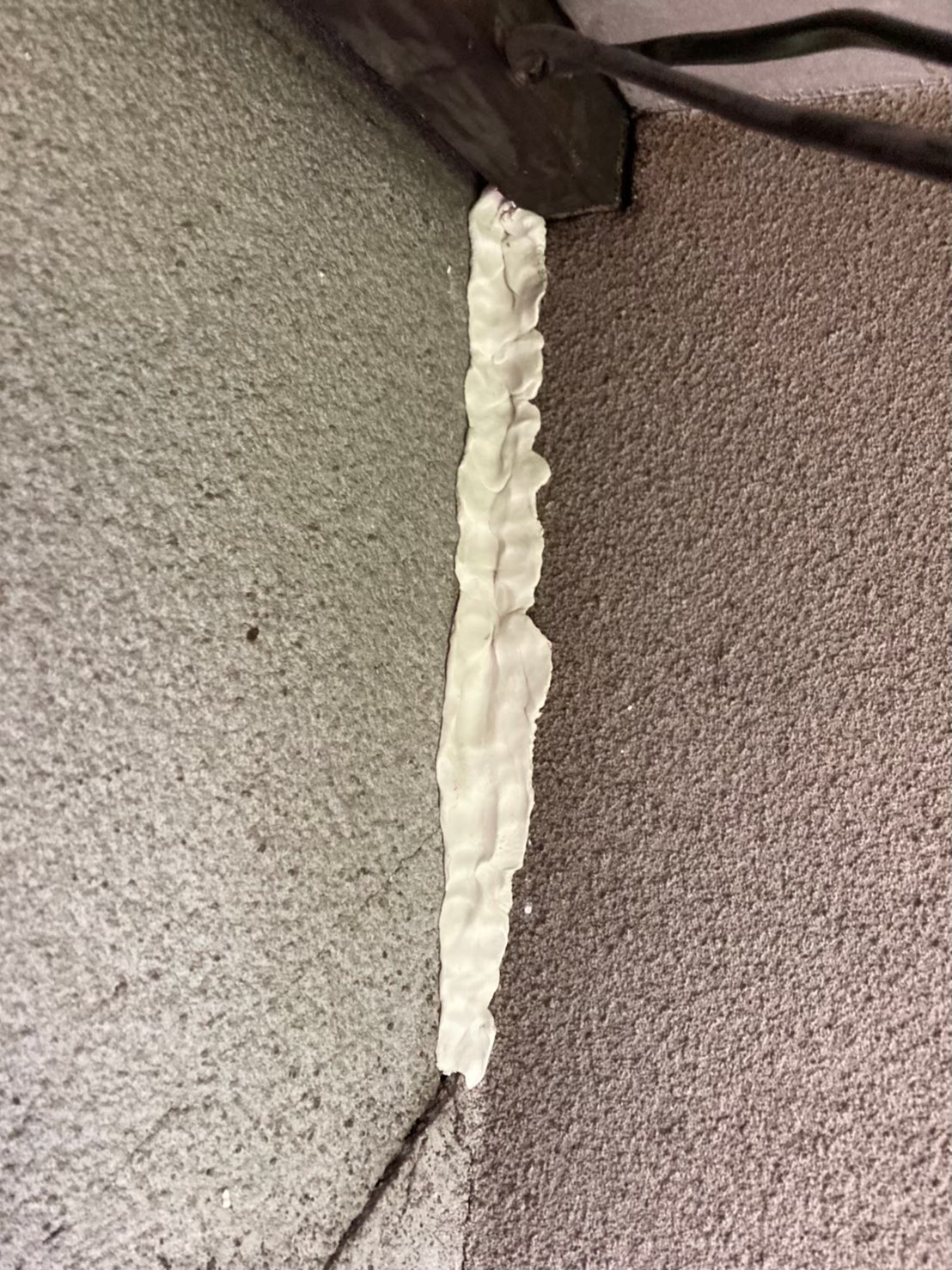 ネズミによる被害　O様邸　駆除実績