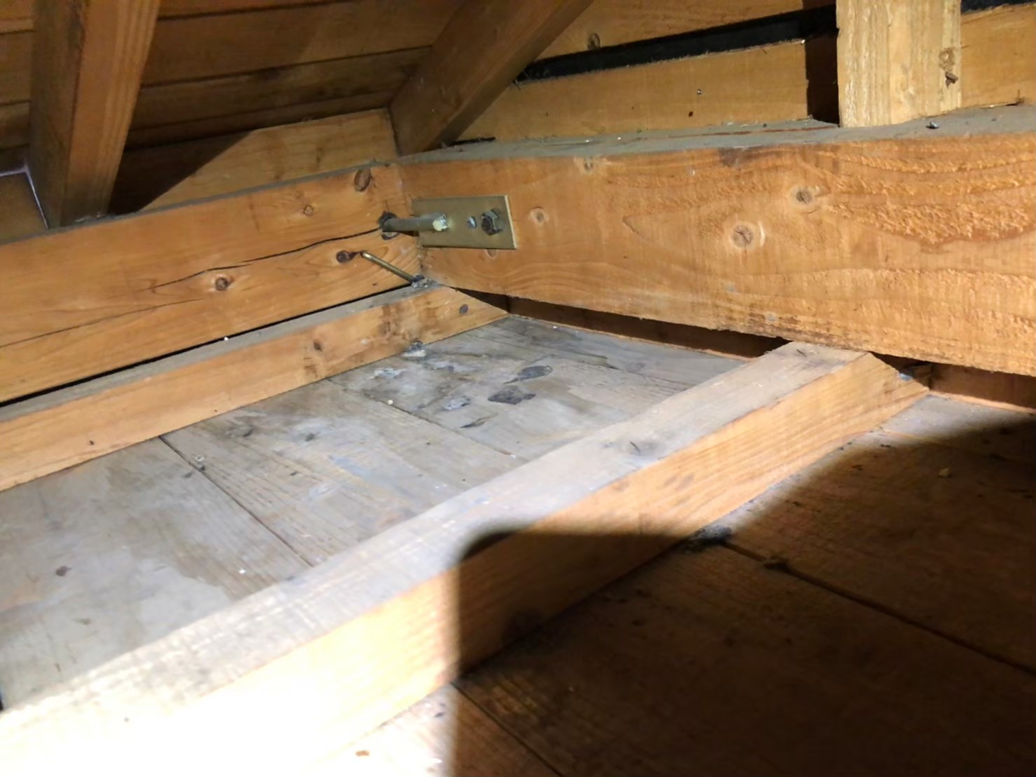 佐賀県伊万里市　アライグマによる被害　K様邸　駆除実績