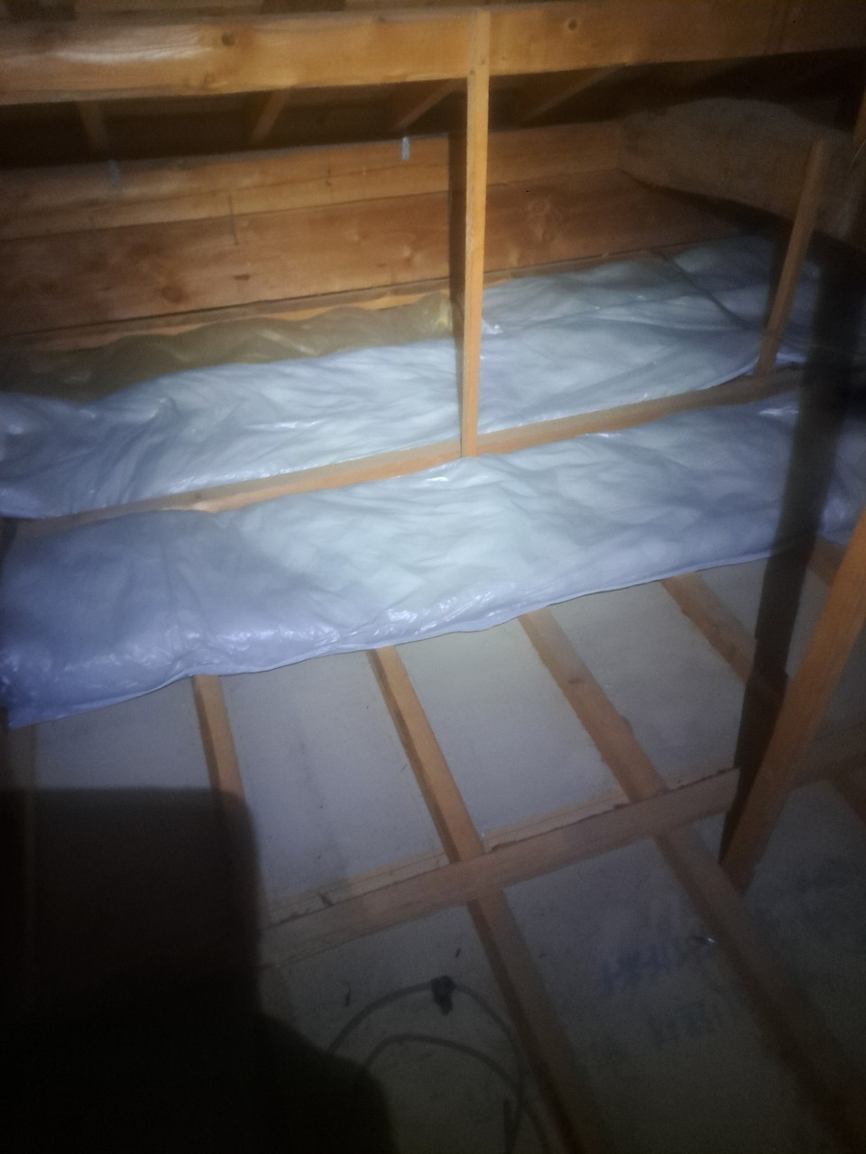 佐賀県小城市　イタチによる被害　U様邸　駆除実績