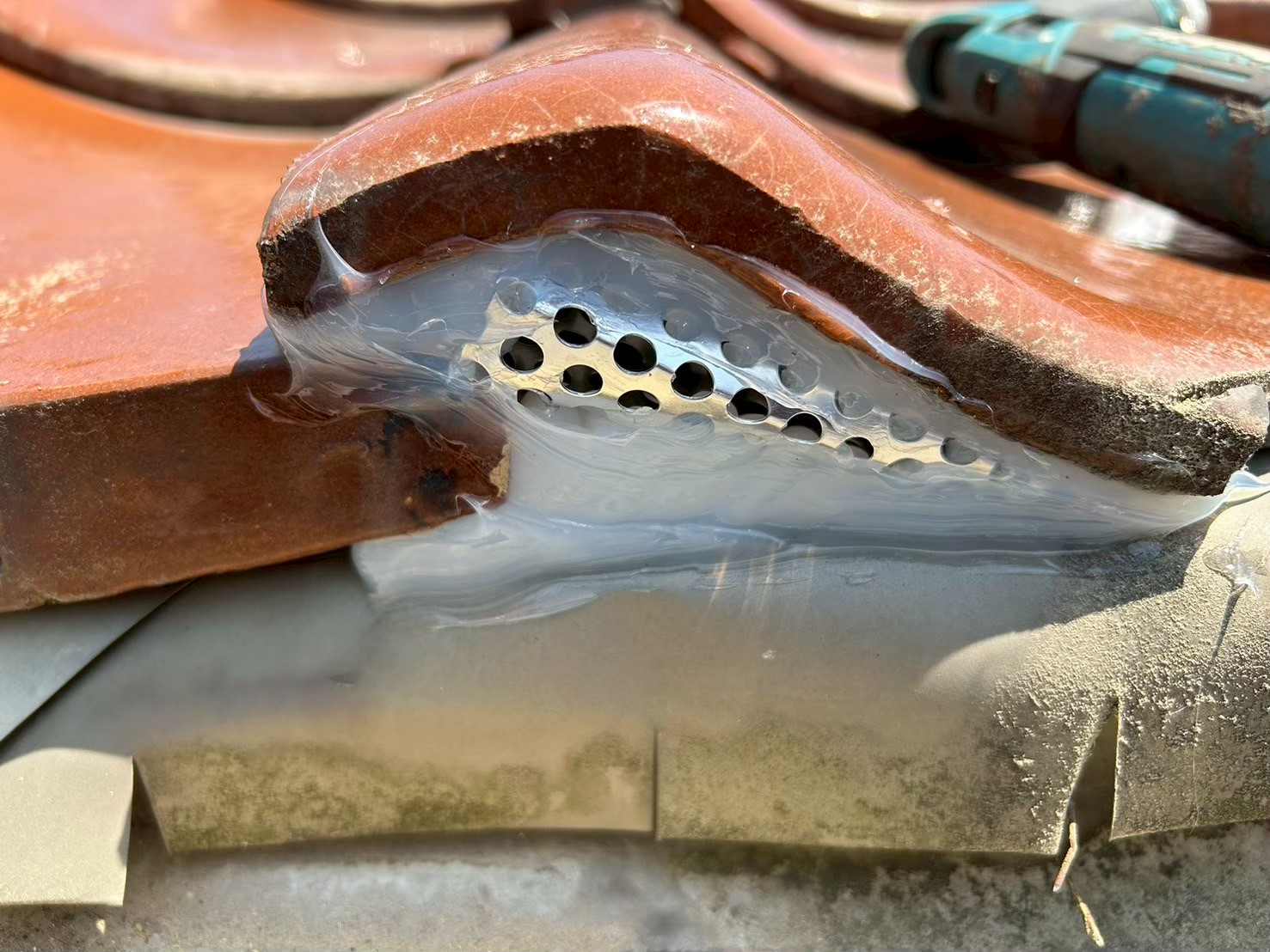 佐賀県唐津市　イタチによる被害　Y様邸　駆除実績