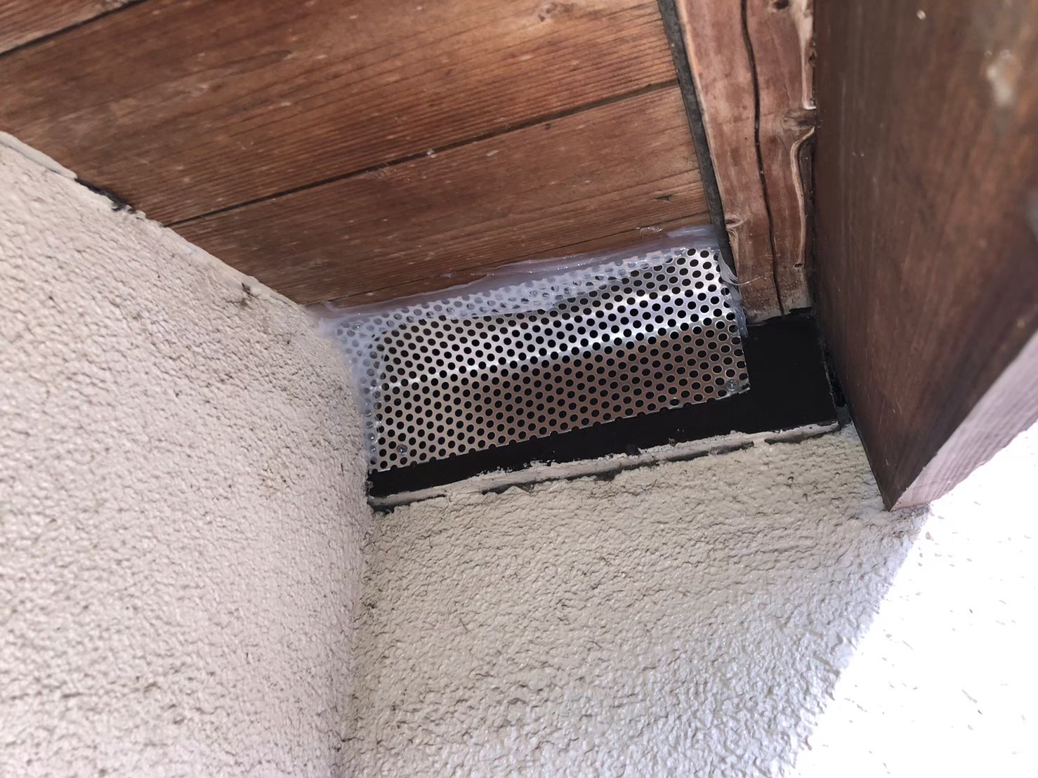 福岡県柳川市　アライグマによる被害　E様邸　駆除実績