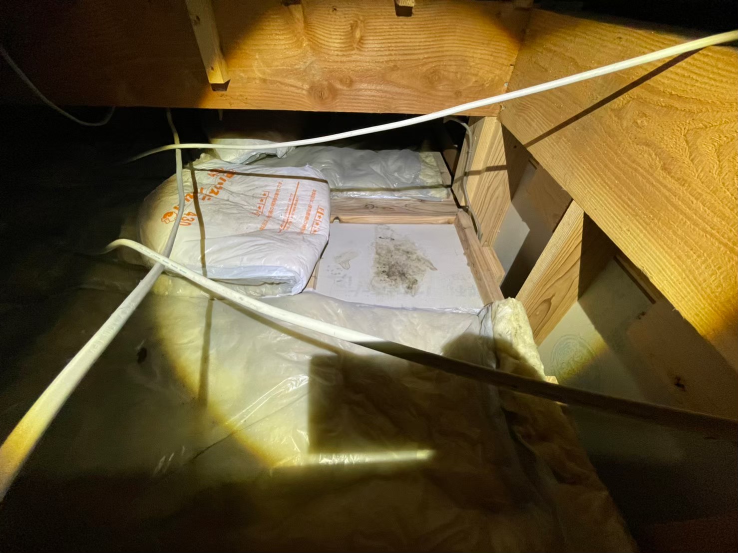 イタチによる被害　D様邸　駆除実績