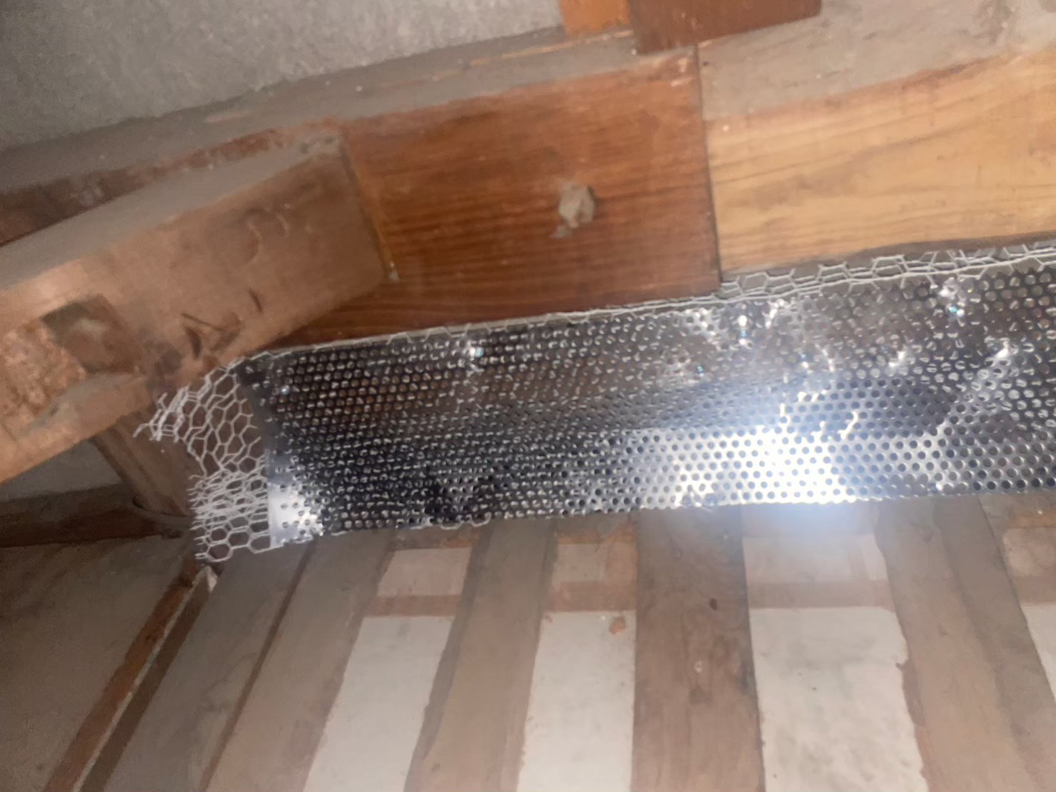 佐賀県唐津市　アライグマによる被害　I様邸　駆除実績