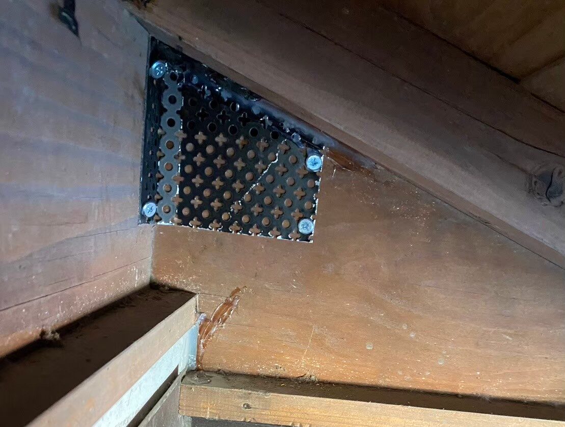 福岡県糟屋郡篠栗町　ネズミによる被害　K様邸　駆除実績