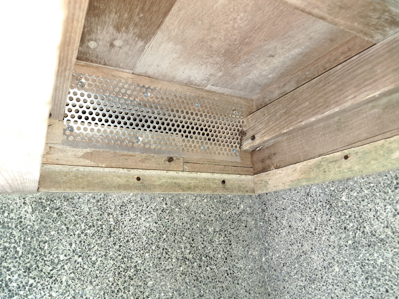 福岡県小郡市　ネズミによる被害　T様邸　駆除実績