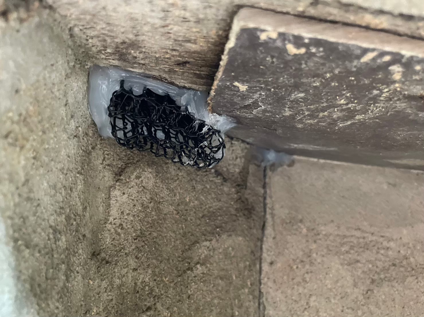 佐賀県佐賀市　イタチによる被害　B様邸　駆除実績