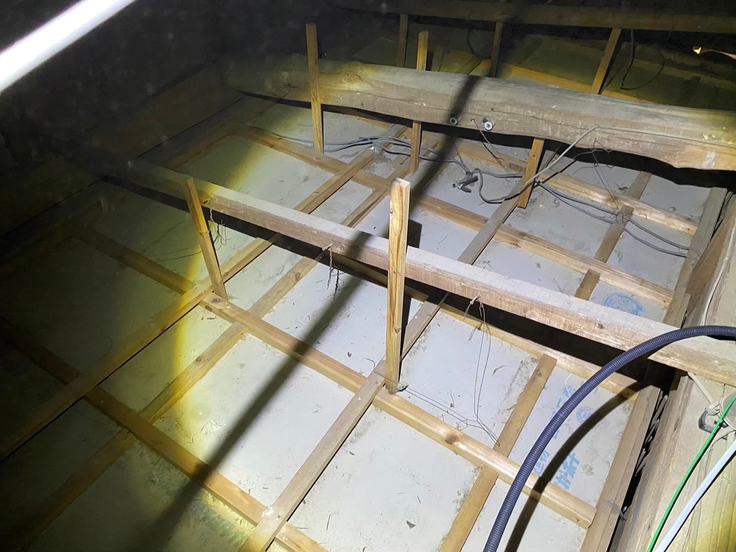 佐賀県佐賀市　アライグマによる被害　T様邸　駆除実績