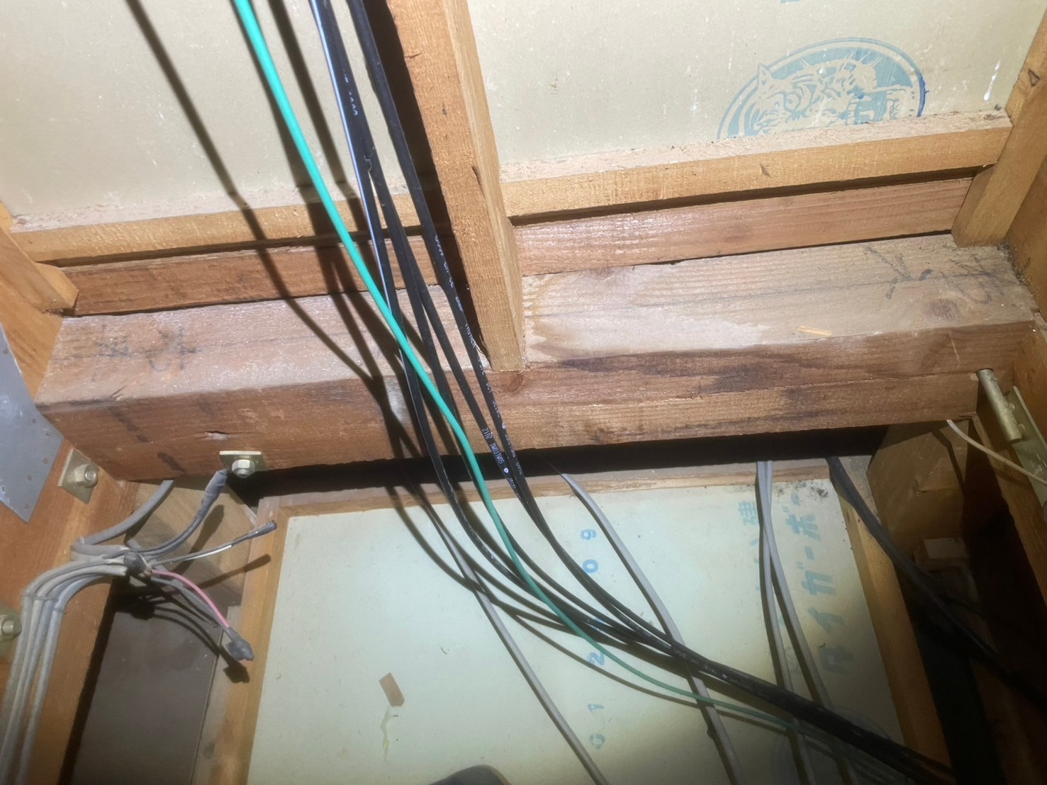 福岡県大野城市　ネズミによる被害　H様邸　駆除実績