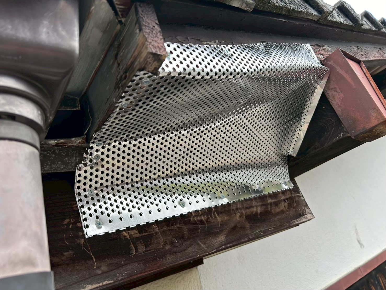 佐賀県鳥栖市　アライグマによる被害　H様邸　駆除実績