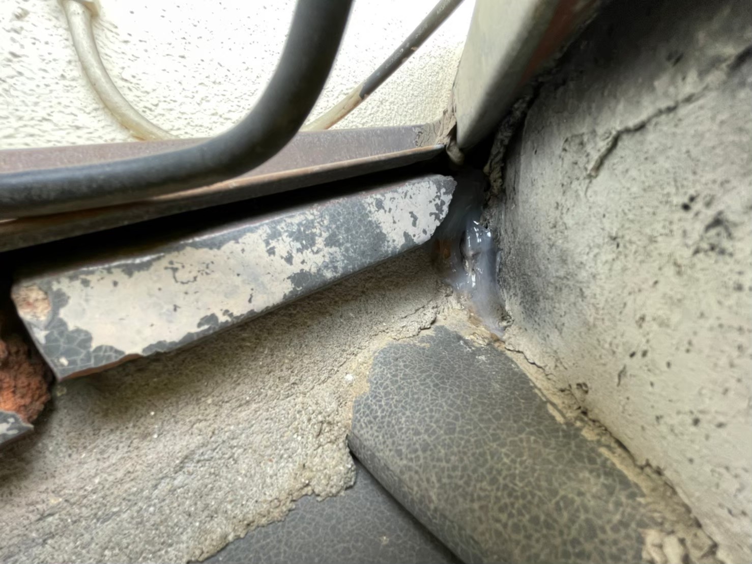 イタチによる被害　O様邸　駆除実績