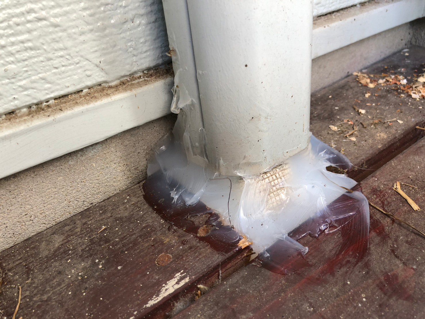 福岡県久留米市　ネズミによる被害　G様邸　駆除実績