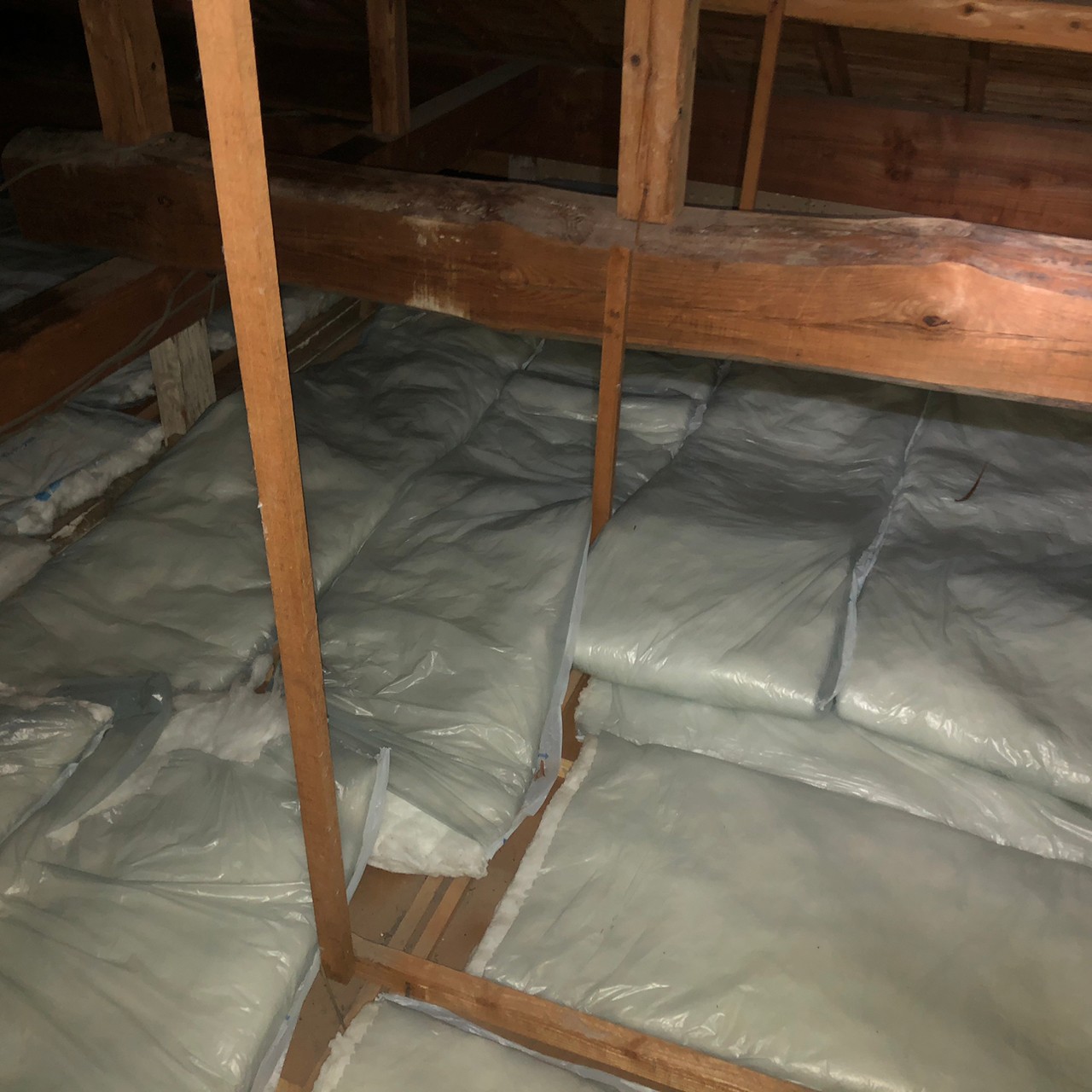 佐賀県有田町　イタチによる被害　O様邸　駆除実績