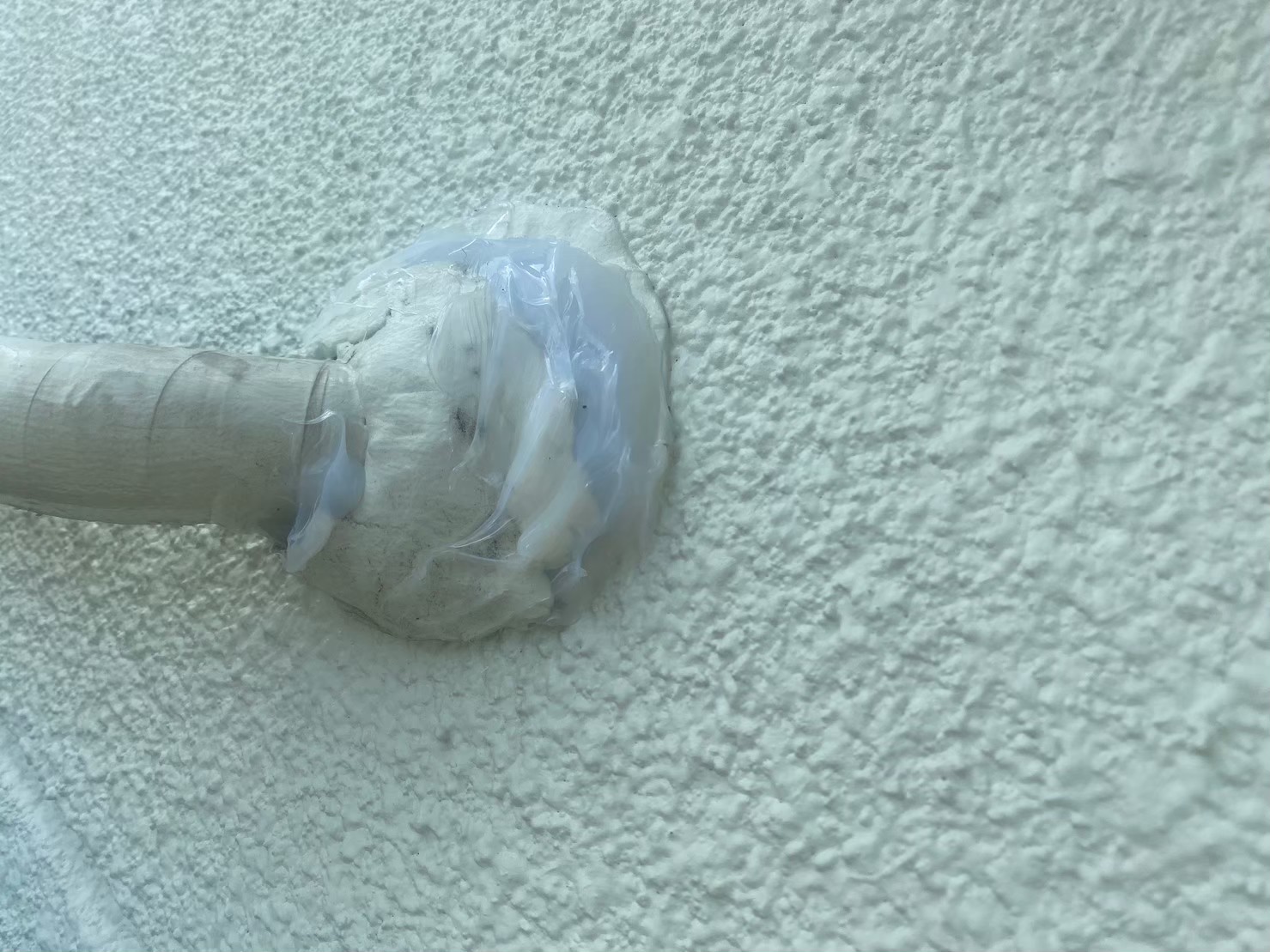 福岡県柳川市　ネズミによる被害　K様邸　駆除実績