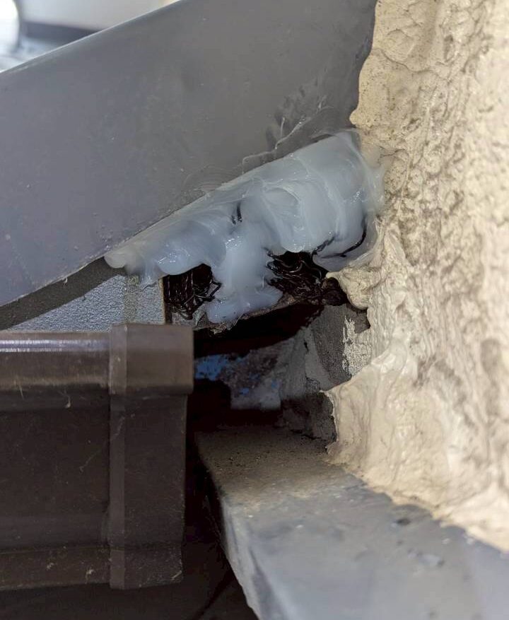 福岡県太宰府市　アライグマによる被害　T様邸　駆除実績