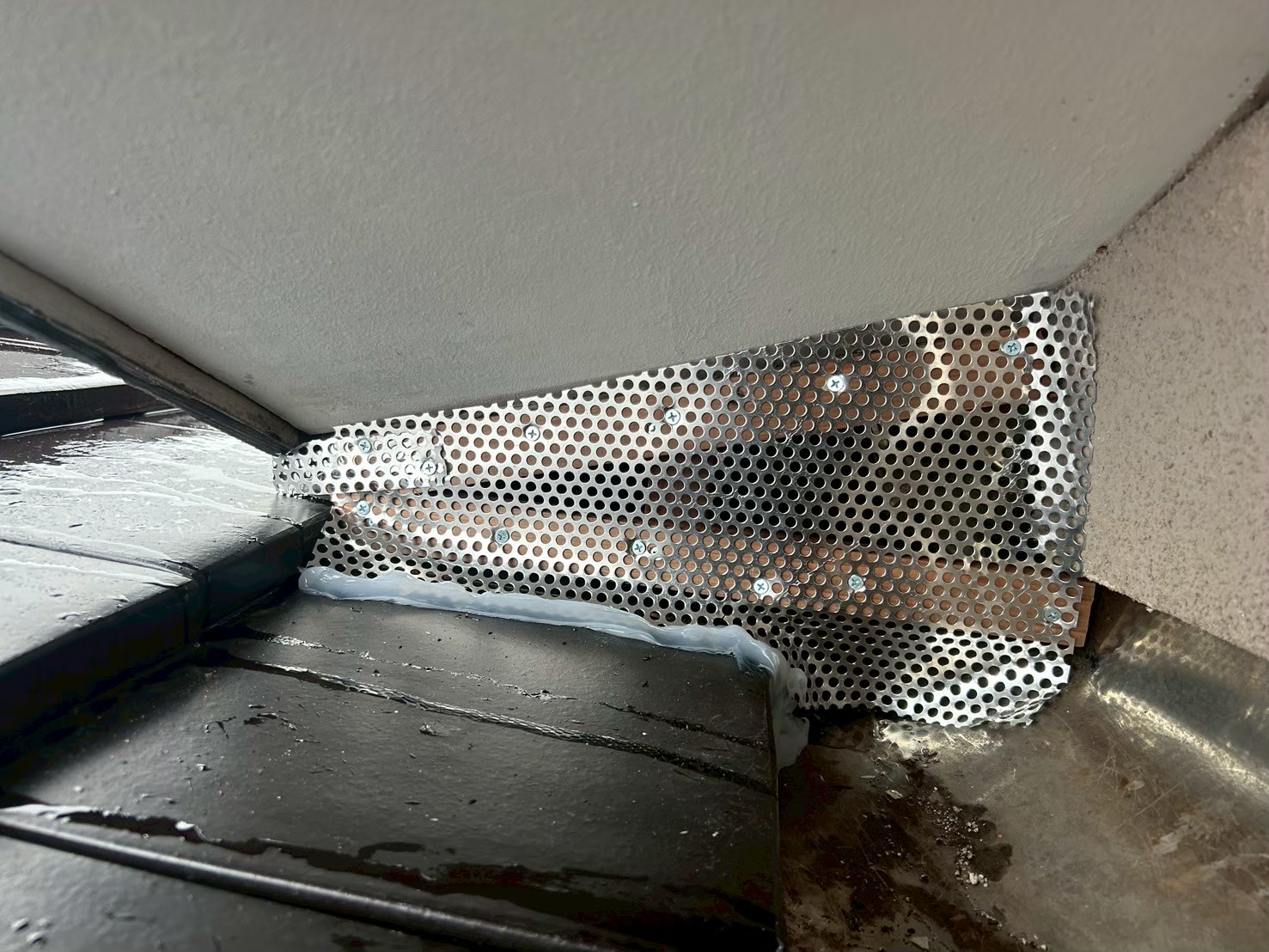 佐賀県鳥栖市　アライグマによる被害　N様邸　駆除実績