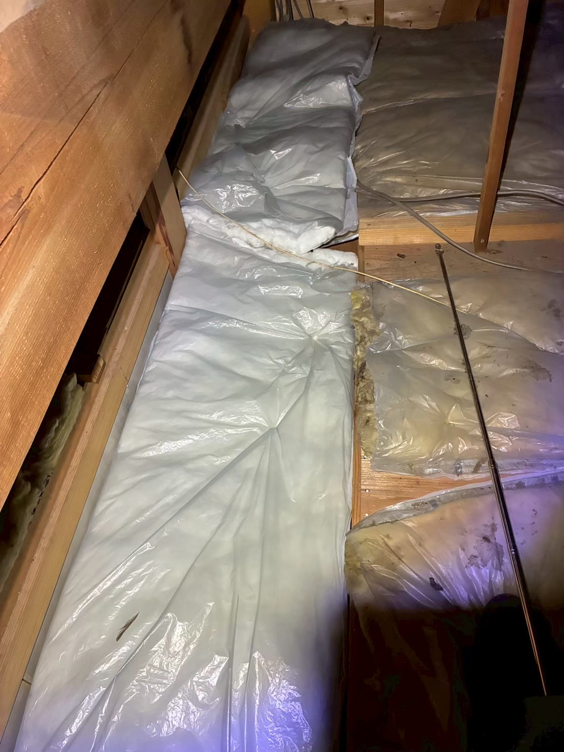 福岡県糟屋郡篠栗町　イタチによる被害　K様邸　駆除実績