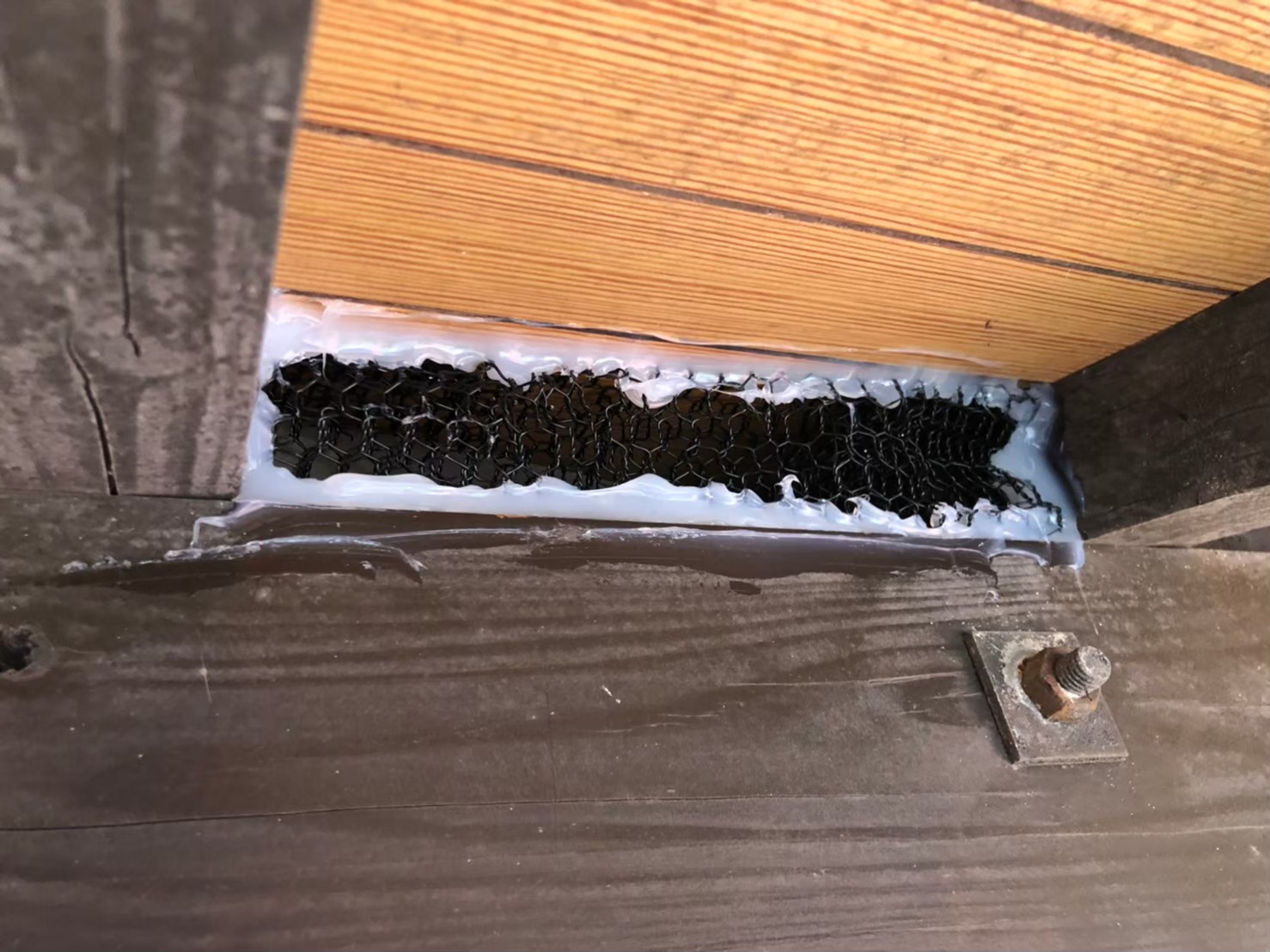 ネズミによる被害　M様邸　駆除実績