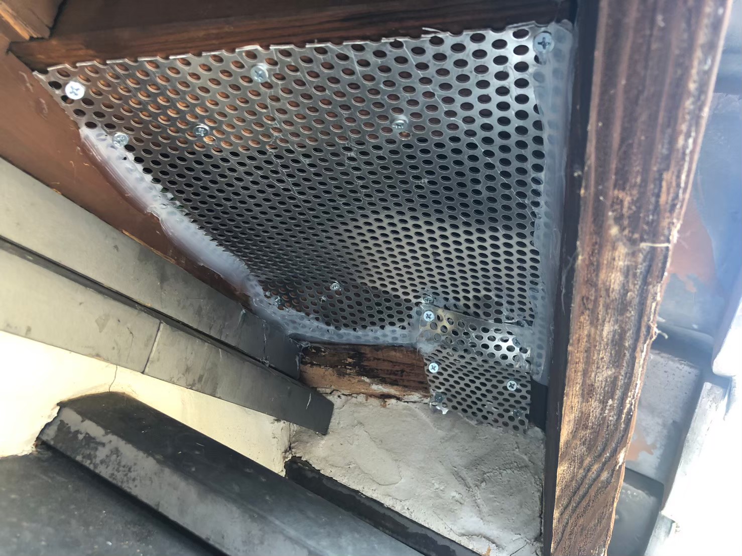 佐賀県鳥栖市　アライグマによる被害　Y様邸　駆除実績