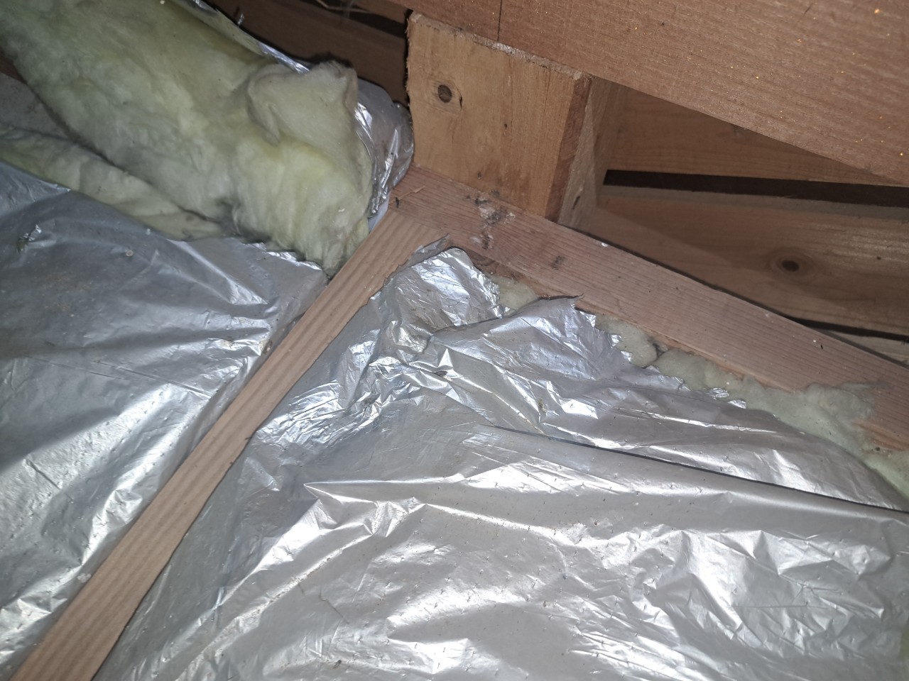 福岡県久留米市　イタチによる被害　N様邸　駆除実績