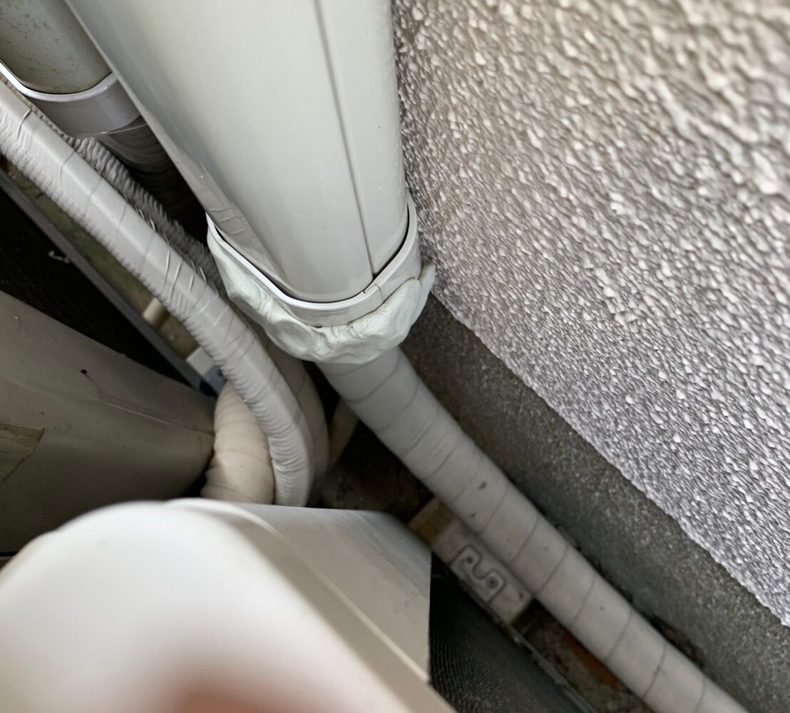 コウモリによる被害　医療施設K　N様　駆除実績