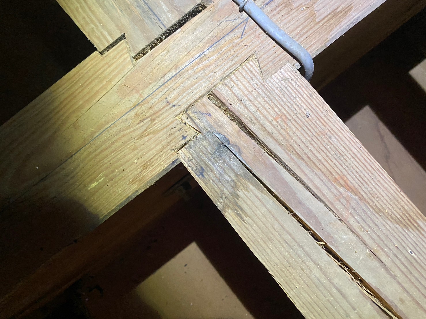 佐賀県多久市　イタチによる被害　A様邸　駆除実績