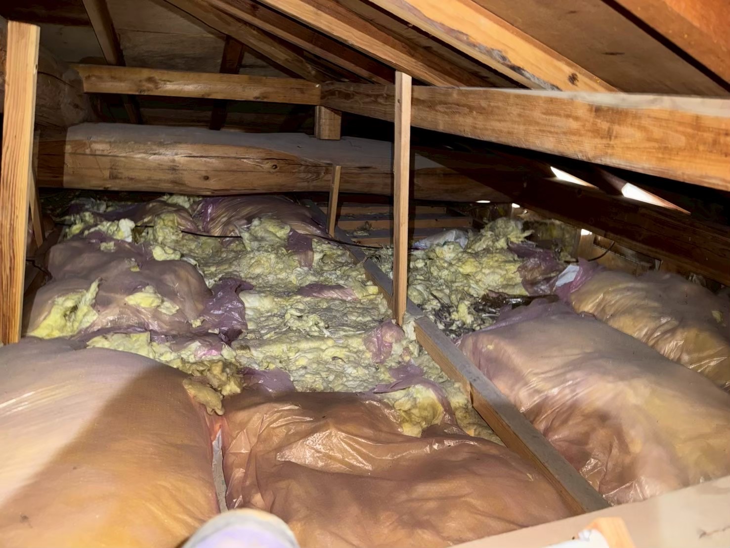 福岡県北九州市　イタチによる被害　E様邸　駆除実績