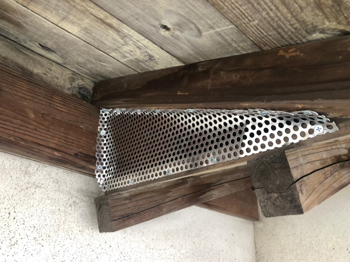 アライグマによる被害　O様邸　駆除実績