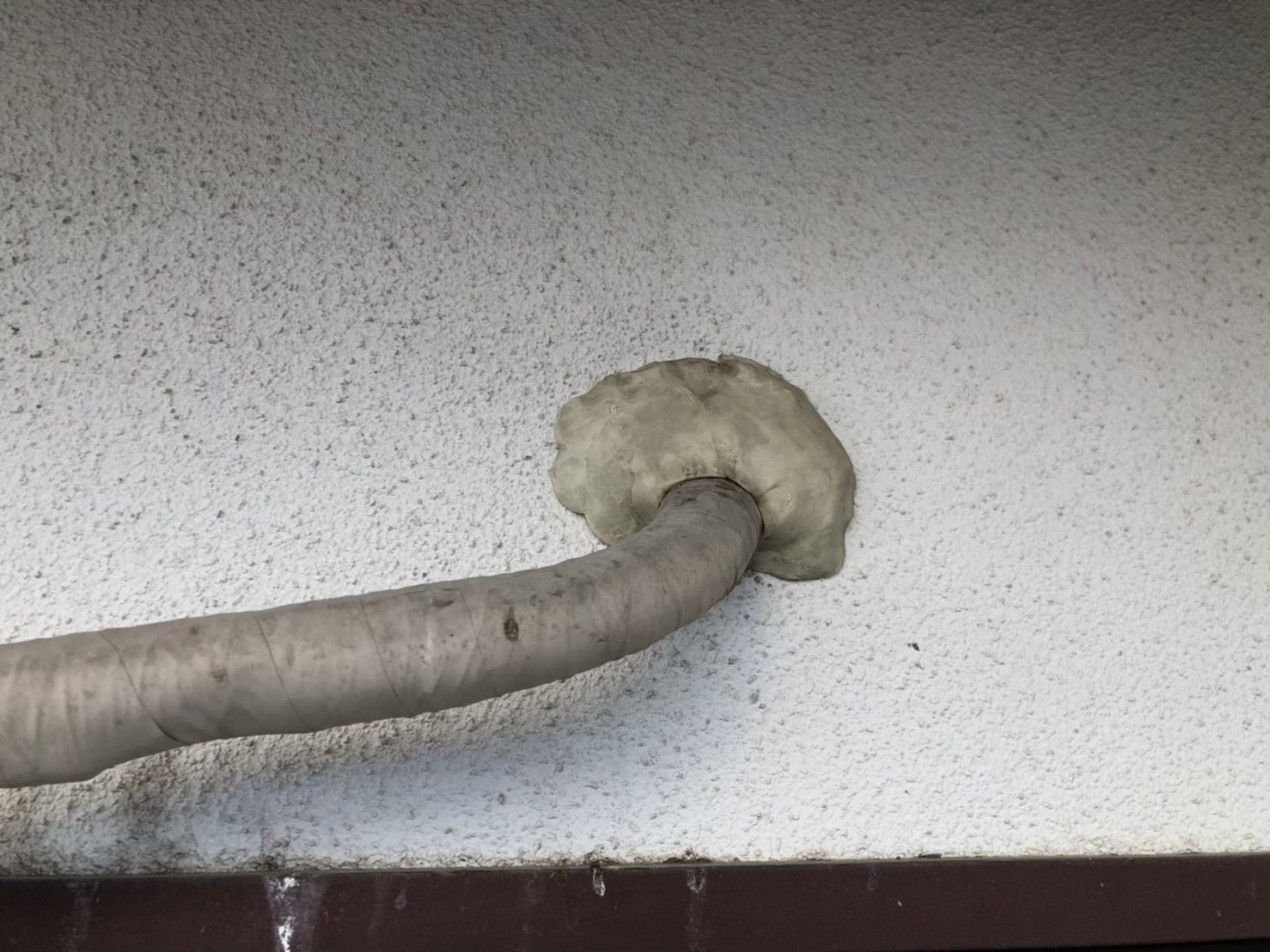 ネズミによる被害　N様邸　駆除実績