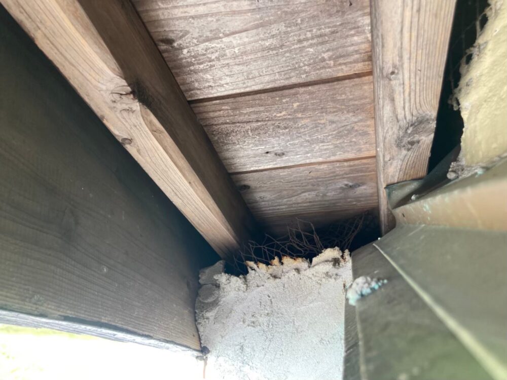 ネズミ駆除　すきま