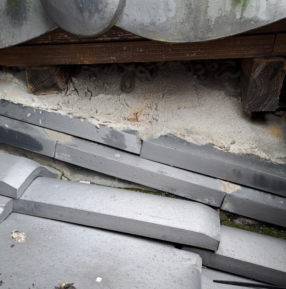 佐賀県有田町　イタチによる被害　O様邸　駆除実績