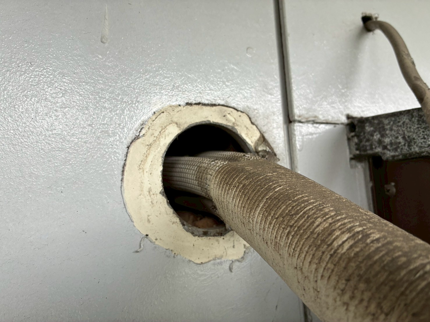 福岡県糟屋郡篠栗町　イタチによる被害　H様邸　駆除実績