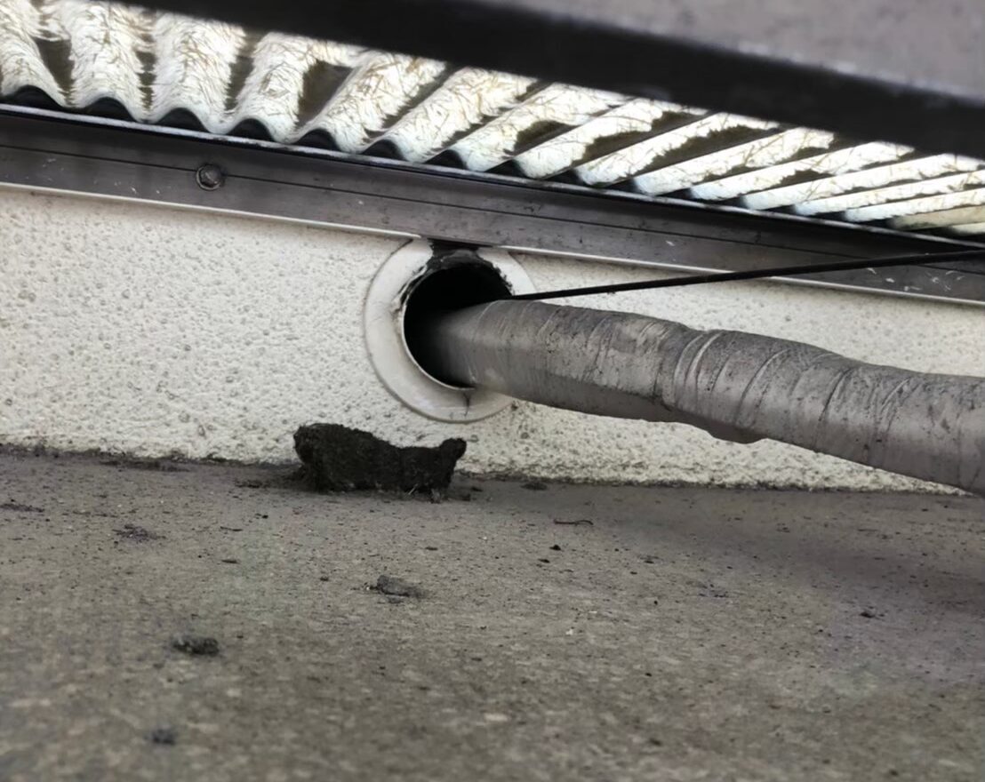 イタチによる被害　O様邸　駆除実績