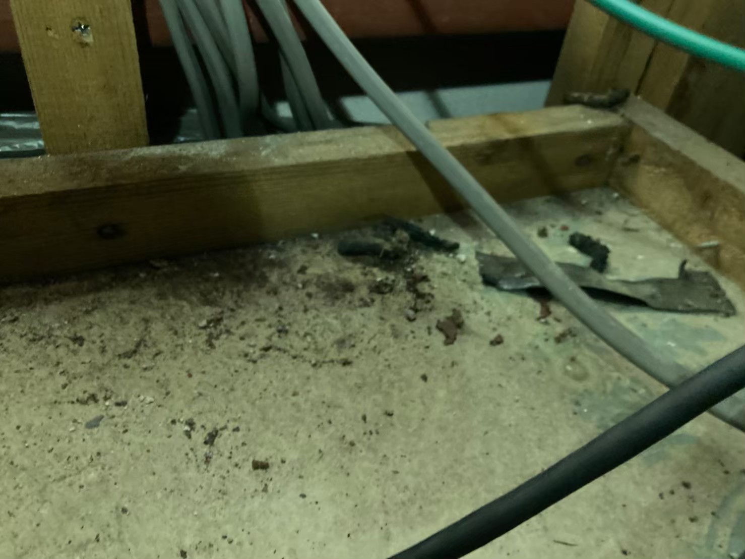 佐賀県神崎市　ネズミによる被害　T様邸　駆除実績